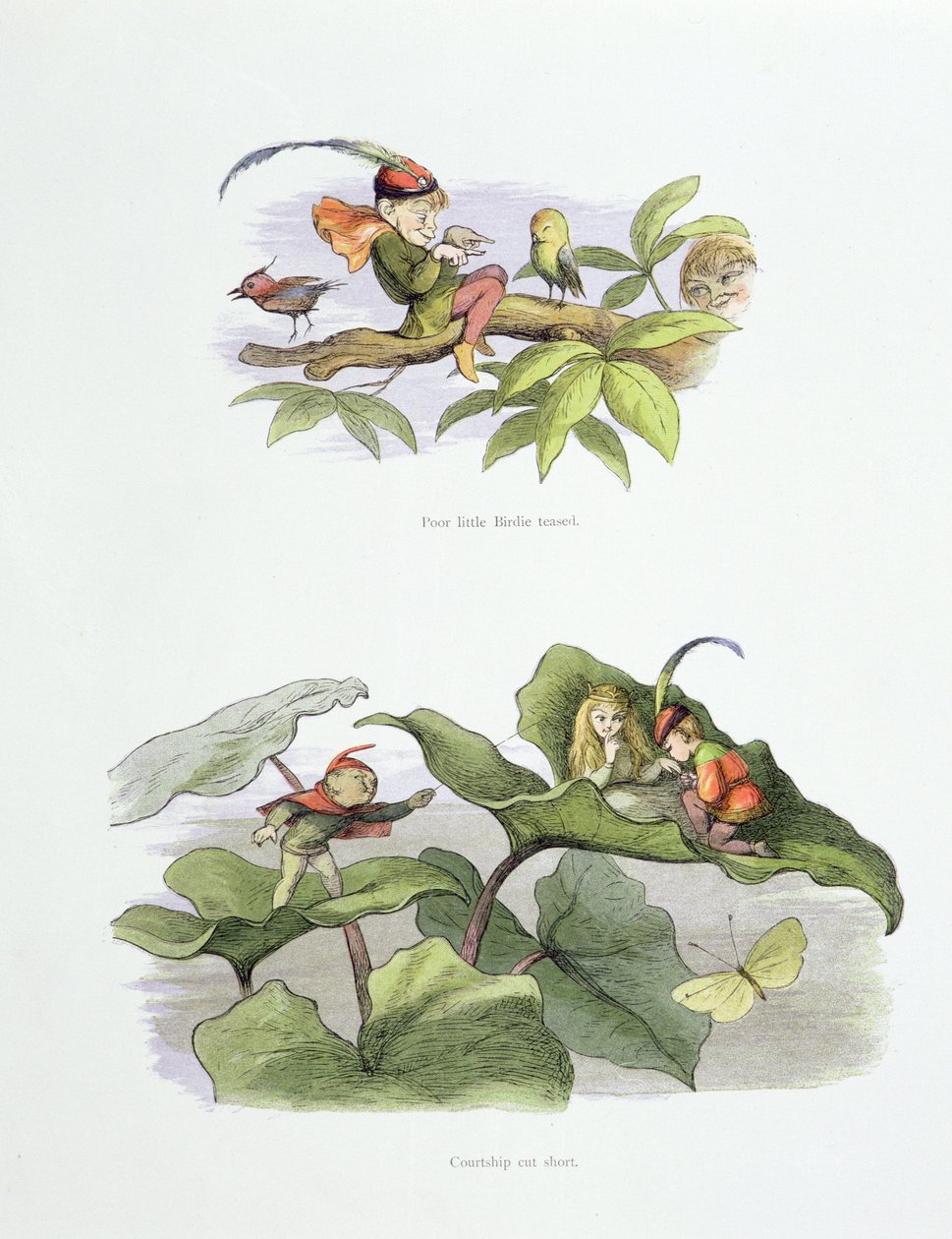 Poor little Birdie teased, and Courtship cut short, illustrations from 