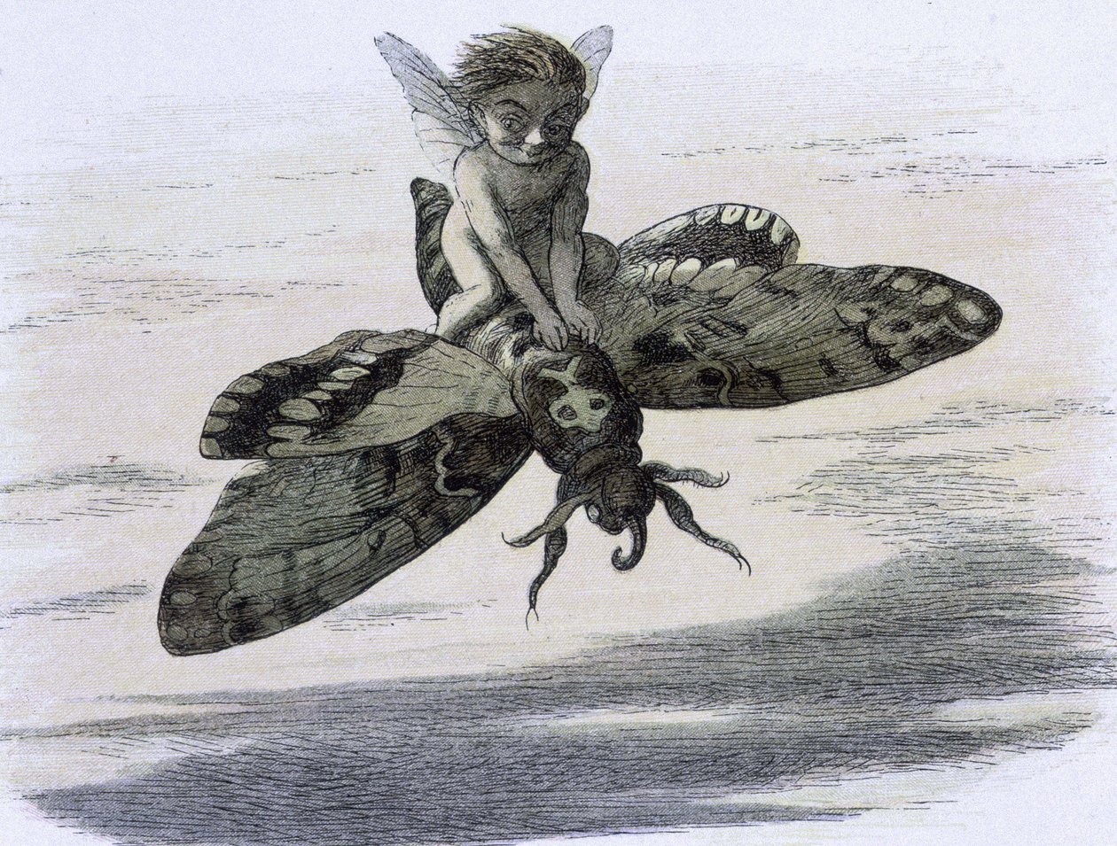 An elf riding a butterfly. Illustration by Richard Doyle from 