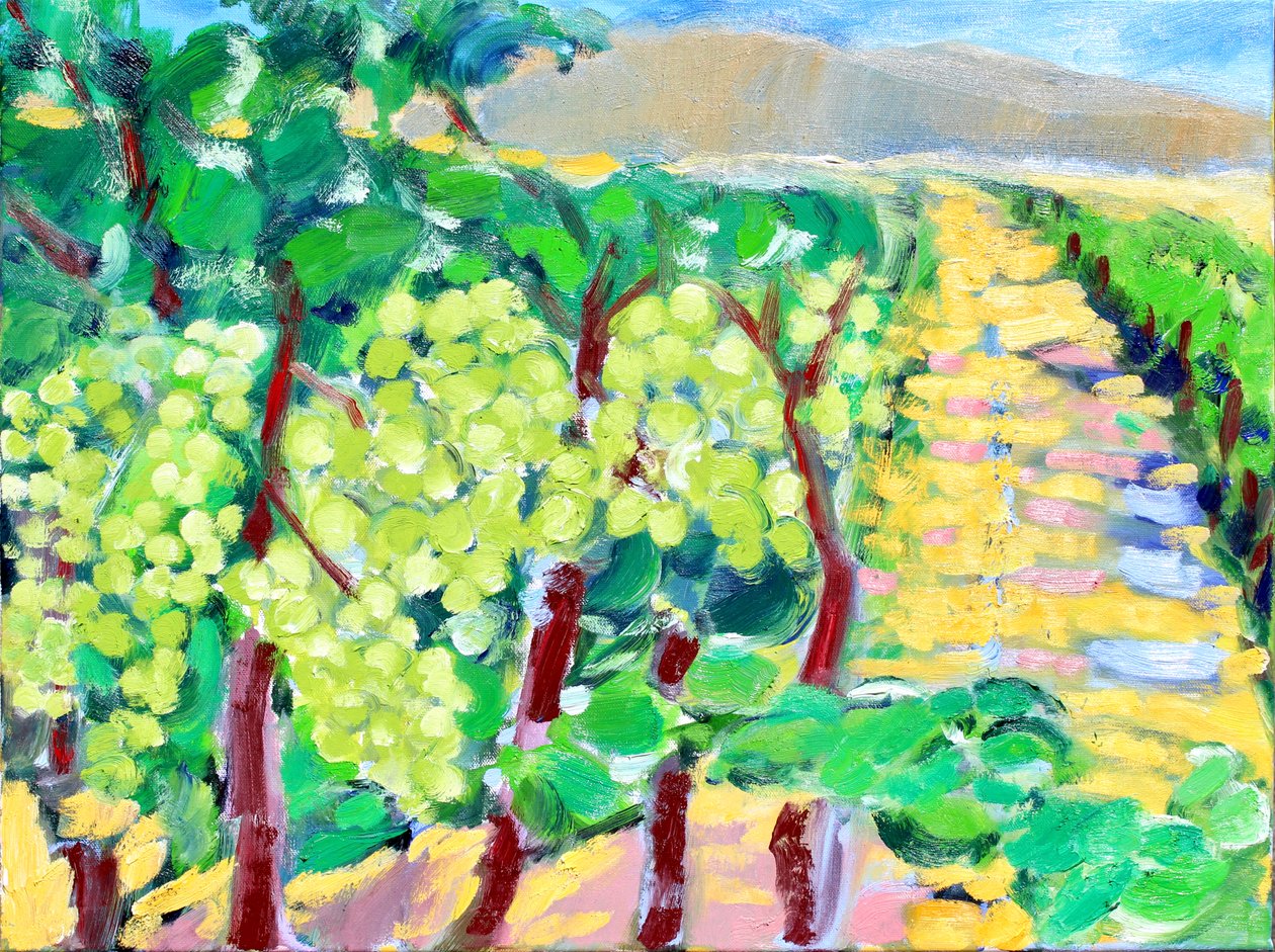 Chardonnay Grapes, Napa, 2019 by Richard Fox
