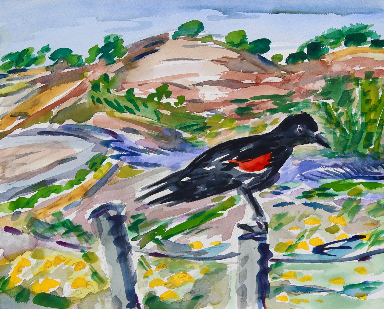 Perched by Richard Fox