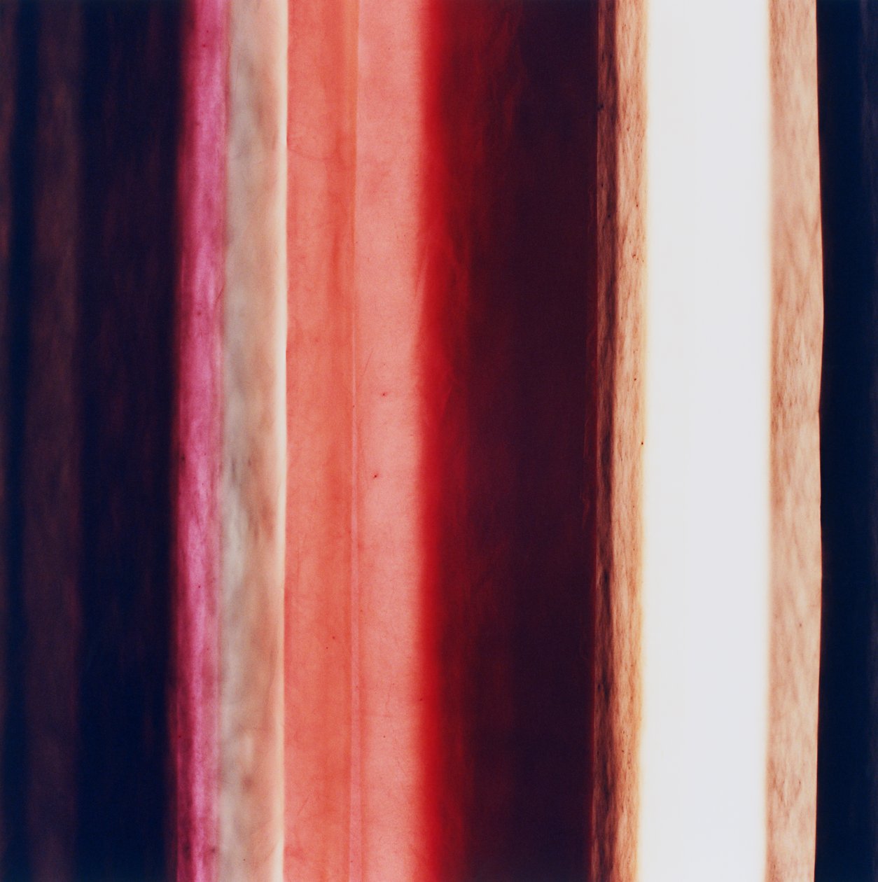 Stripe XI, 2005 by Richard Green