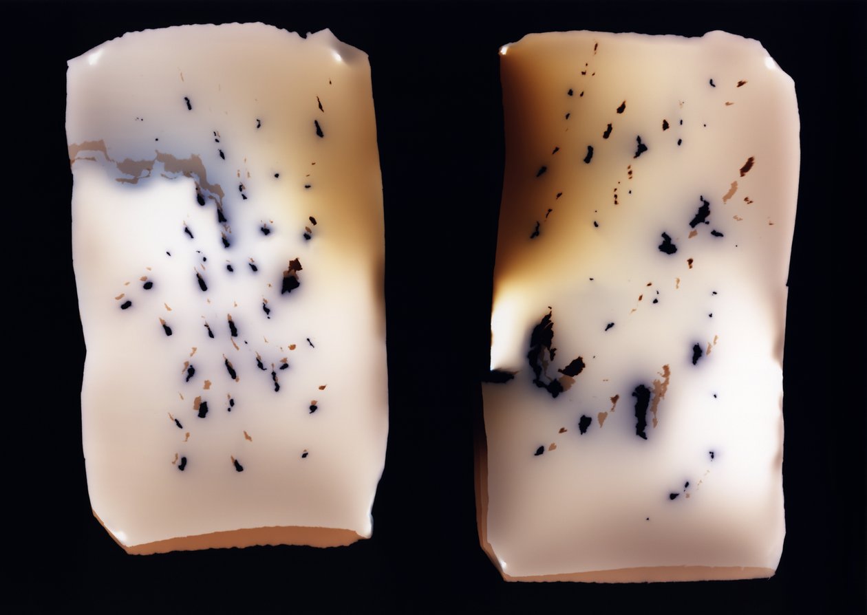 Untitled (double study) by Richard Green
