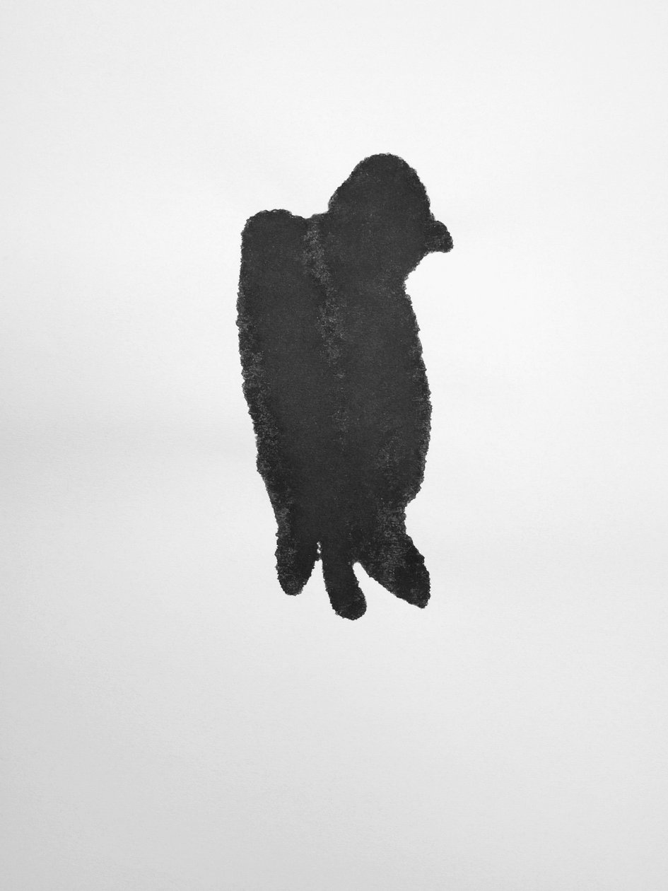Untitled, 2009 by Richard Green