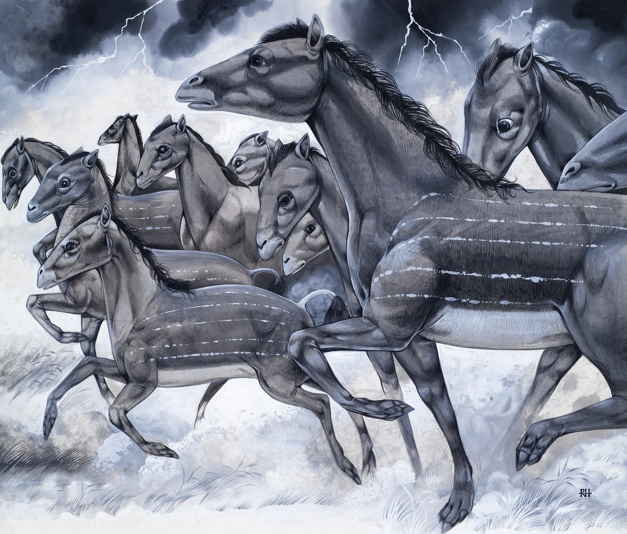 Horses in Miniature, from 