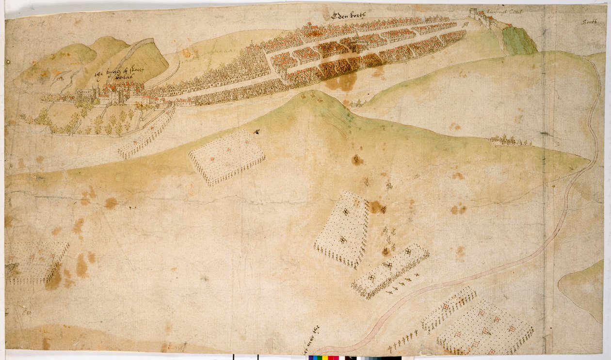 A Coloured Plan, or Bird