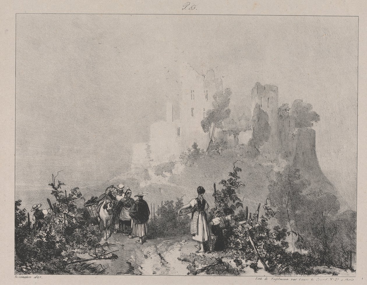 Ruins of Chateau d