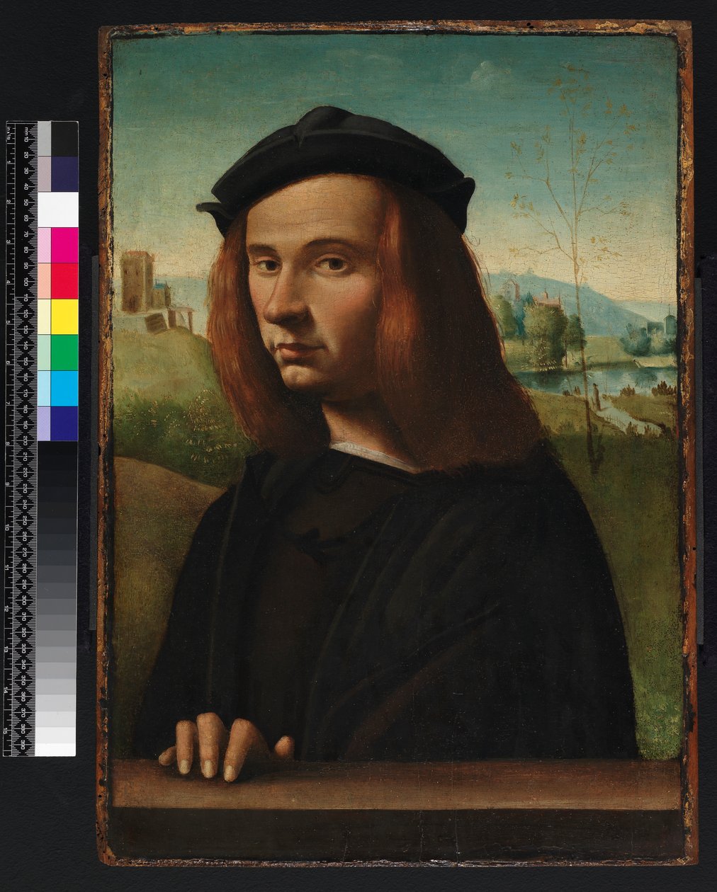 Portrait of a Young Man, 1500 by Ridolfo Ghirlandaio