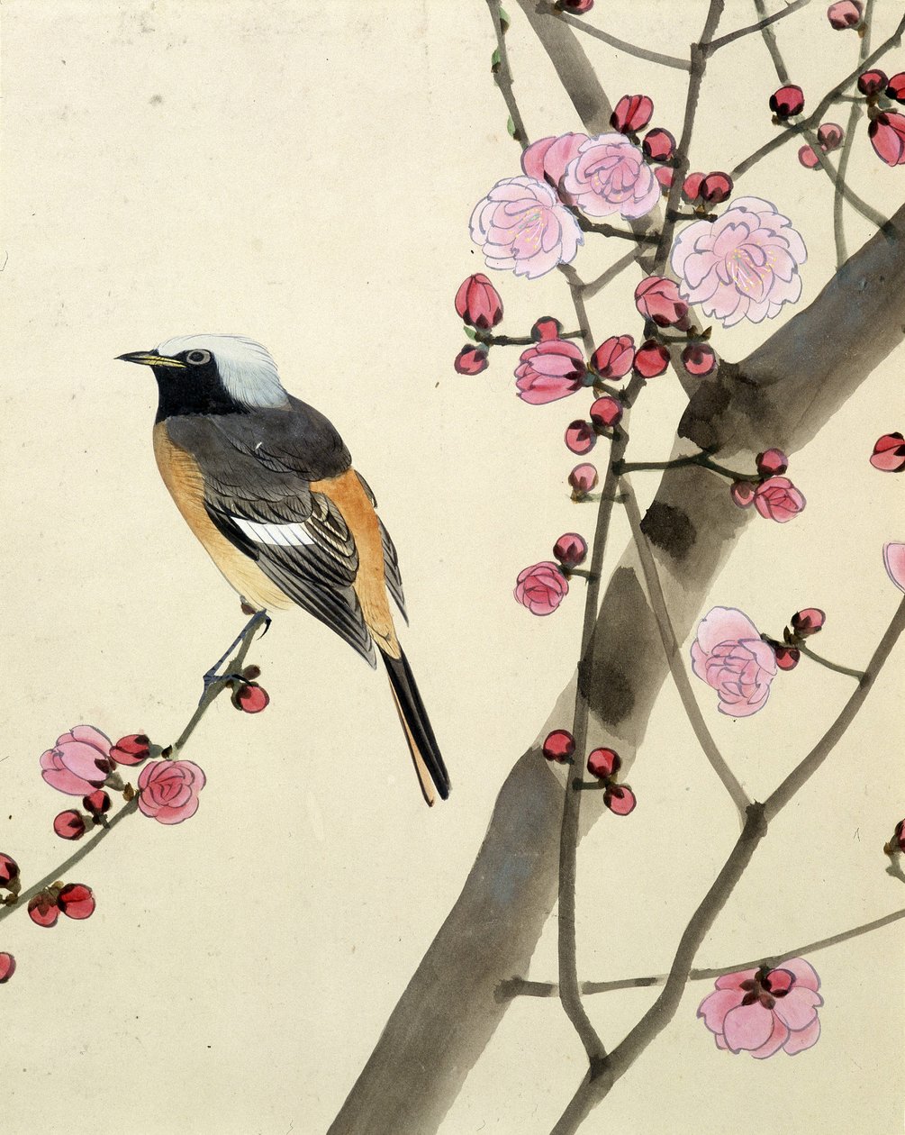 Bird by Riu Chim