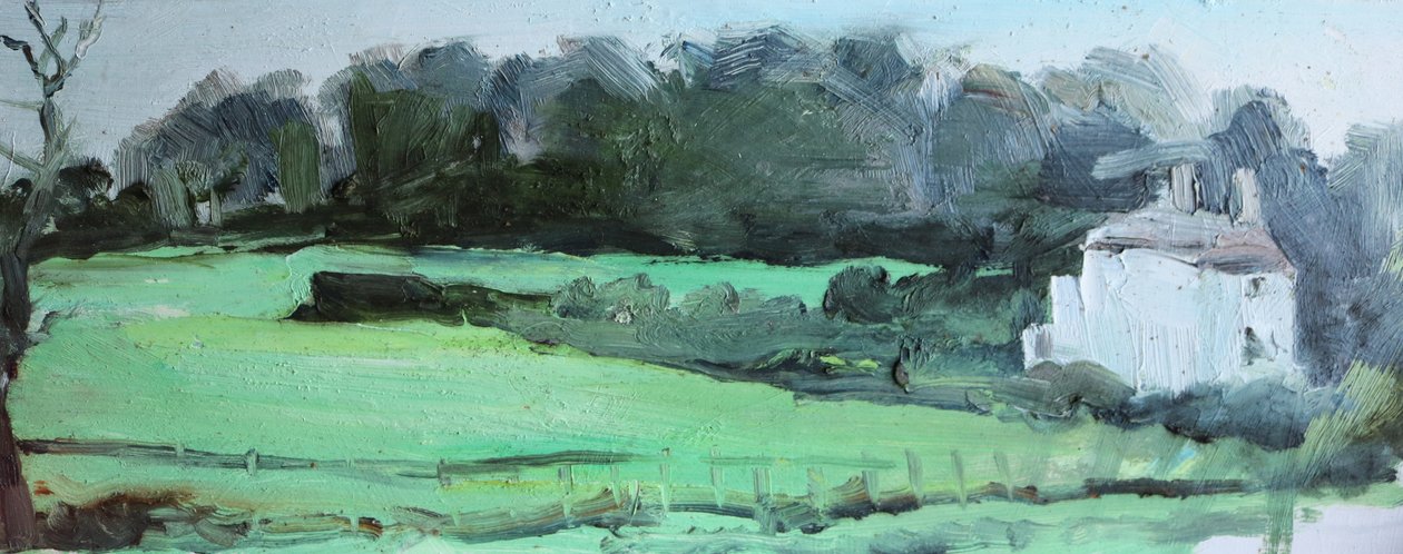 Caldy House and Hedge by Rob D Davies