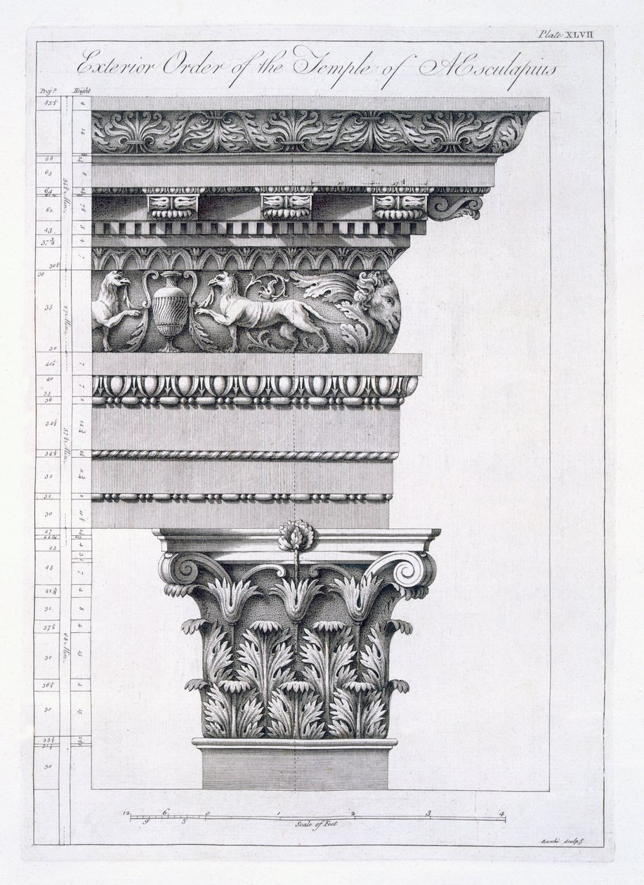 Exterior Order of the Temple of Aesculapius (plate XLVII from 