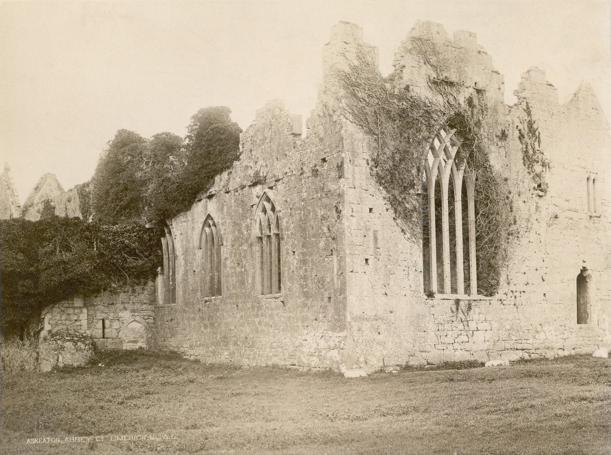 Askeaton Abbey by Robert French