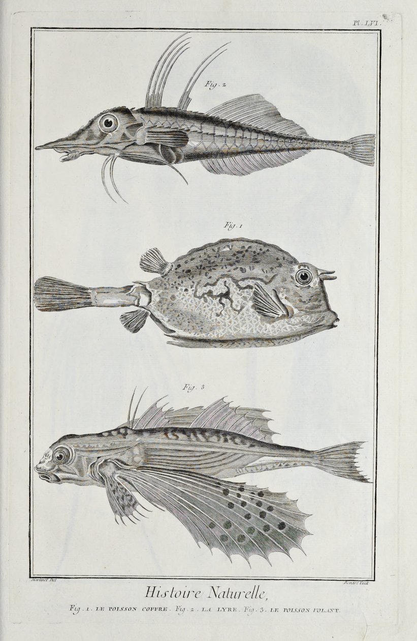 Illustration from 