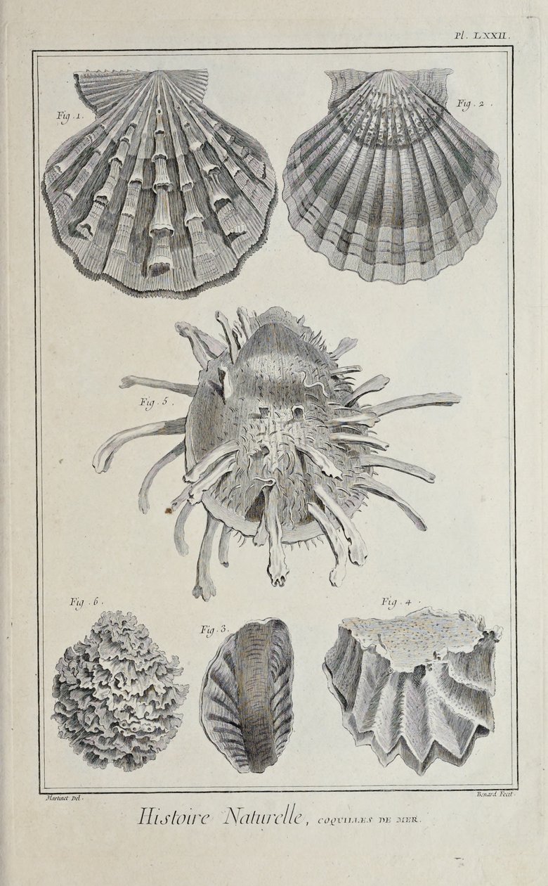 Illustration from 