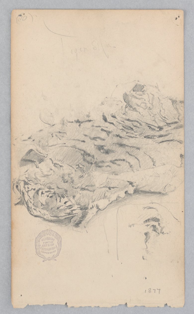 Tiger Skin Rug by Robert Frederick Blum