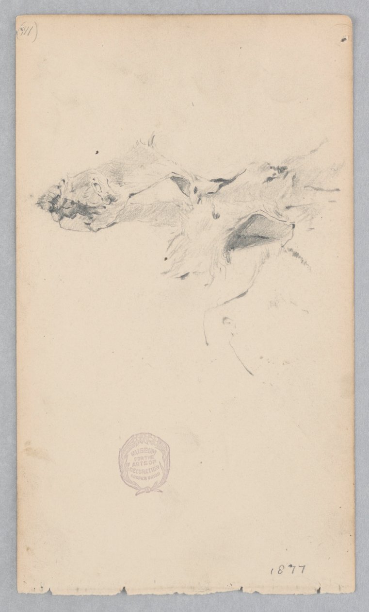 Tiger Skin Rug by Robert Frederick Blum