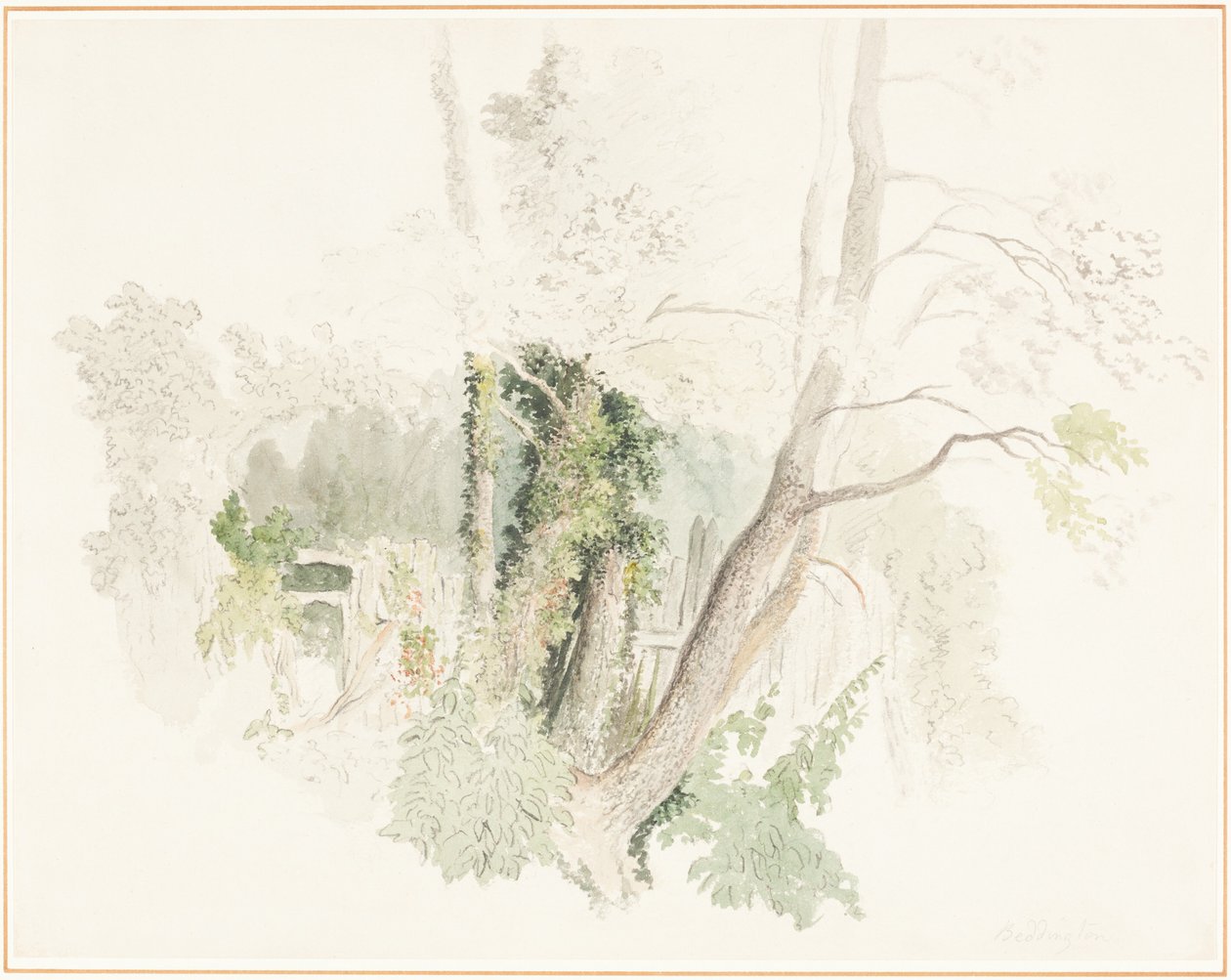 Trees at Beddington by Robert Hills