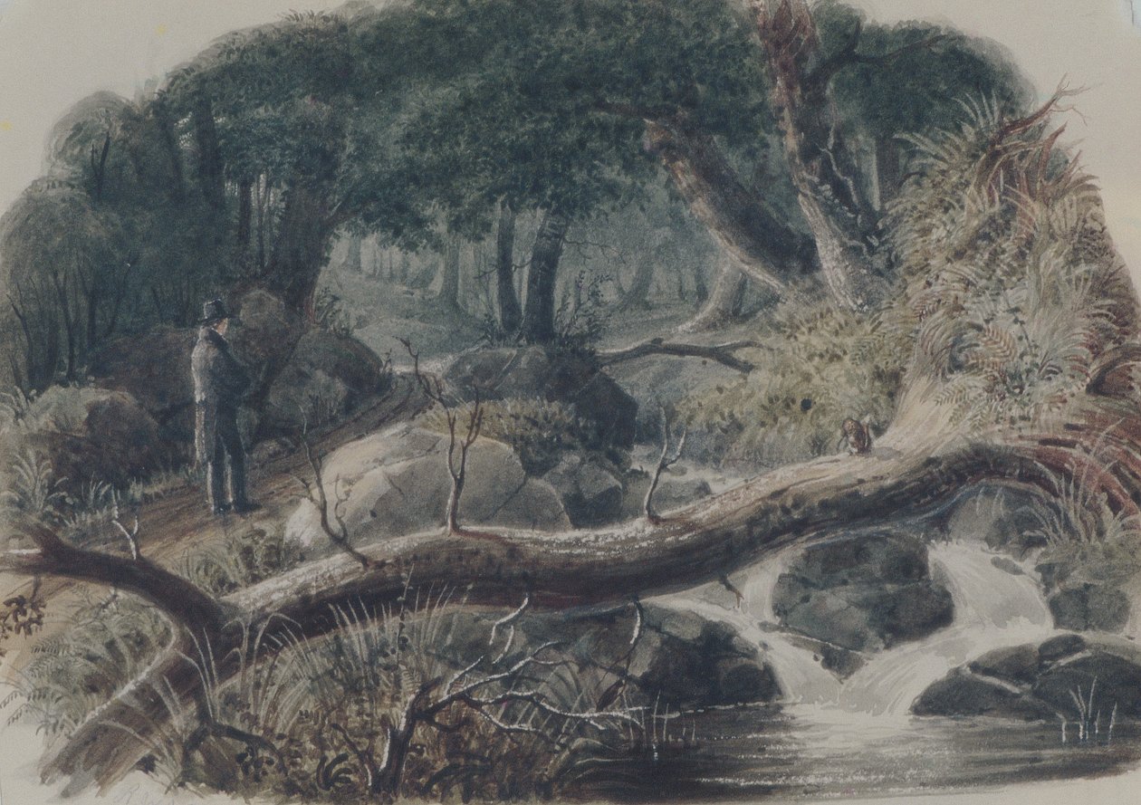 The Entrance to a Wood by Robert Walter Weir