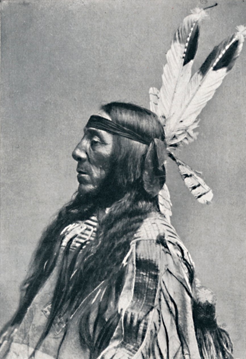 Profile View of a Sioux by Robert Wilson Shufeldt