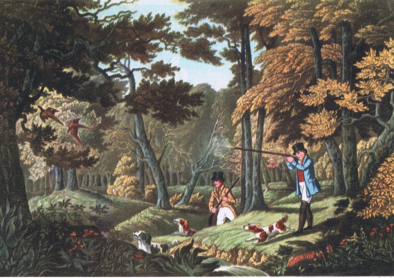 Pheasant Shooting Near Uxbridge, Nature in Britain Published by Collins, 1946 by Robert the Elder Havell