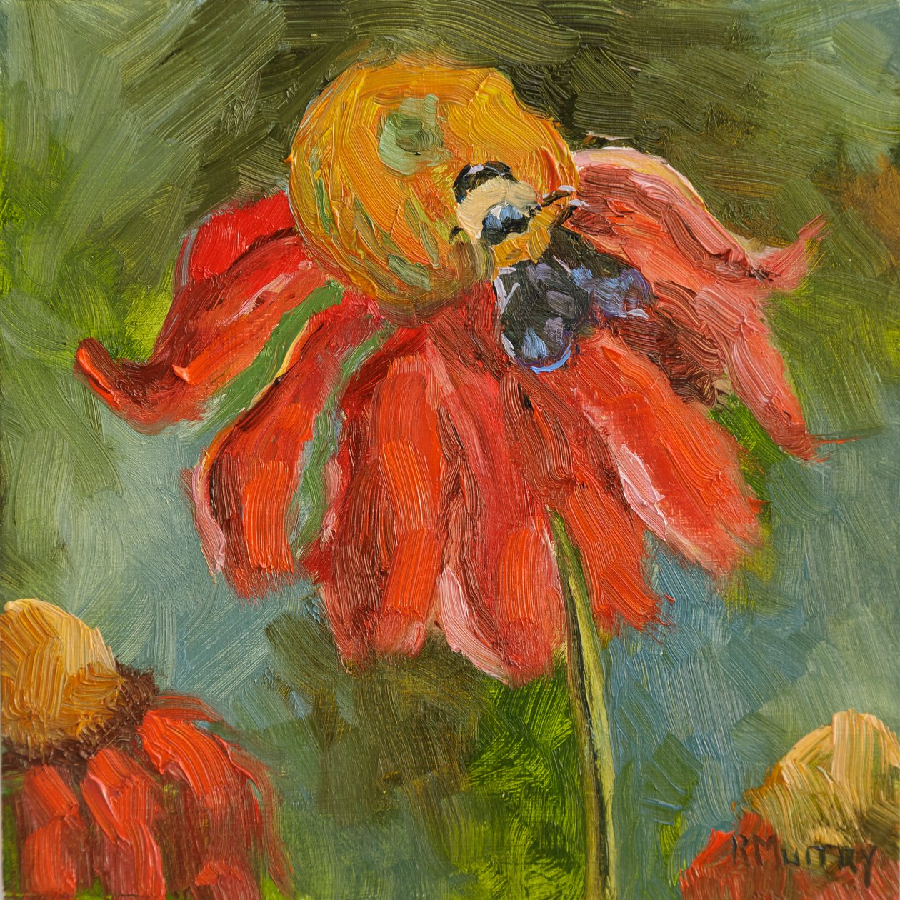 Kismet Coneflower by Roberta Murray