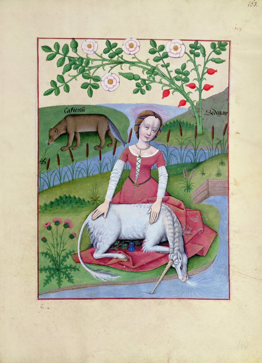Illustration from the Book of Simple Medicines by Mattheaus Platearius by Robinet Testard