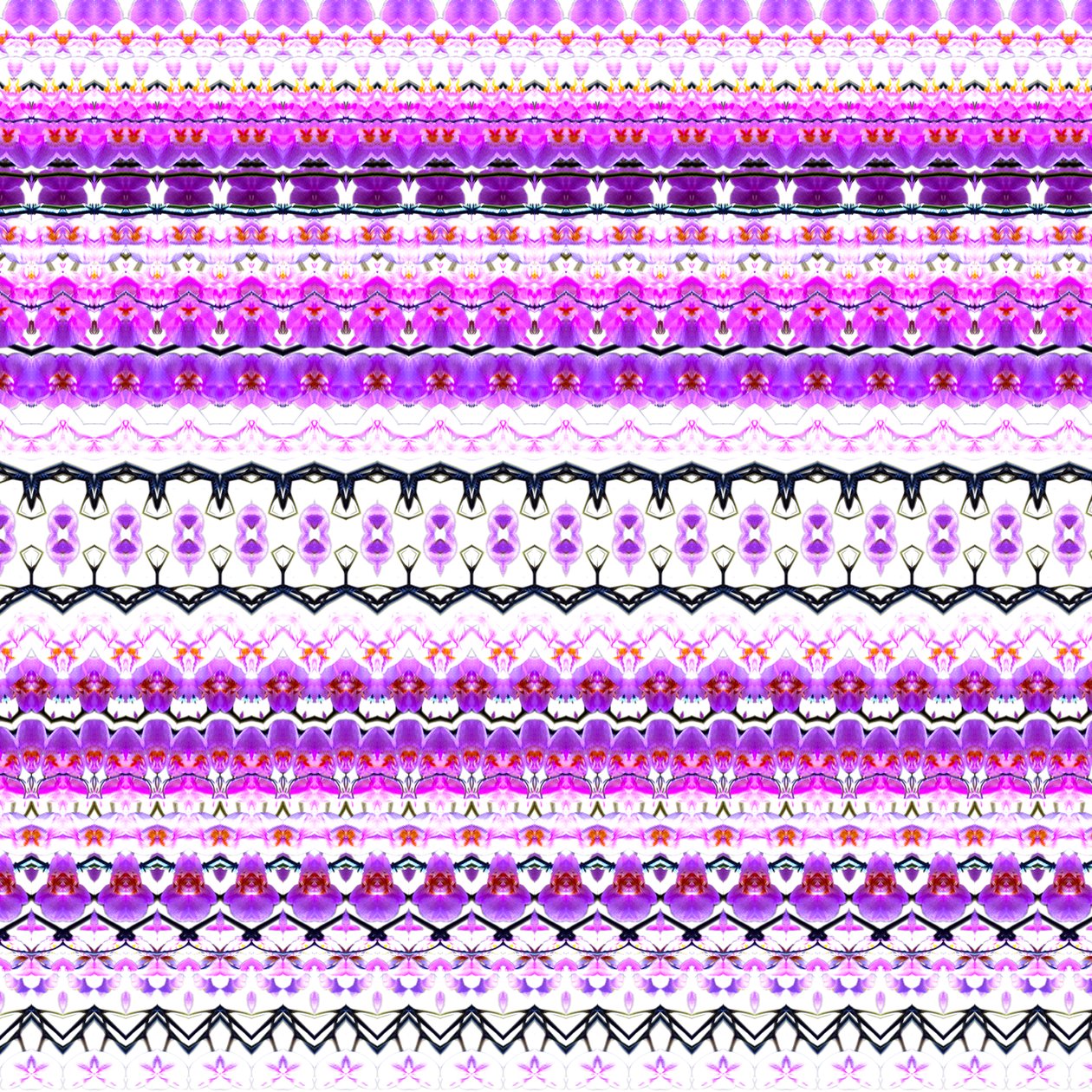 Orchid Stripe by Robyn Parker