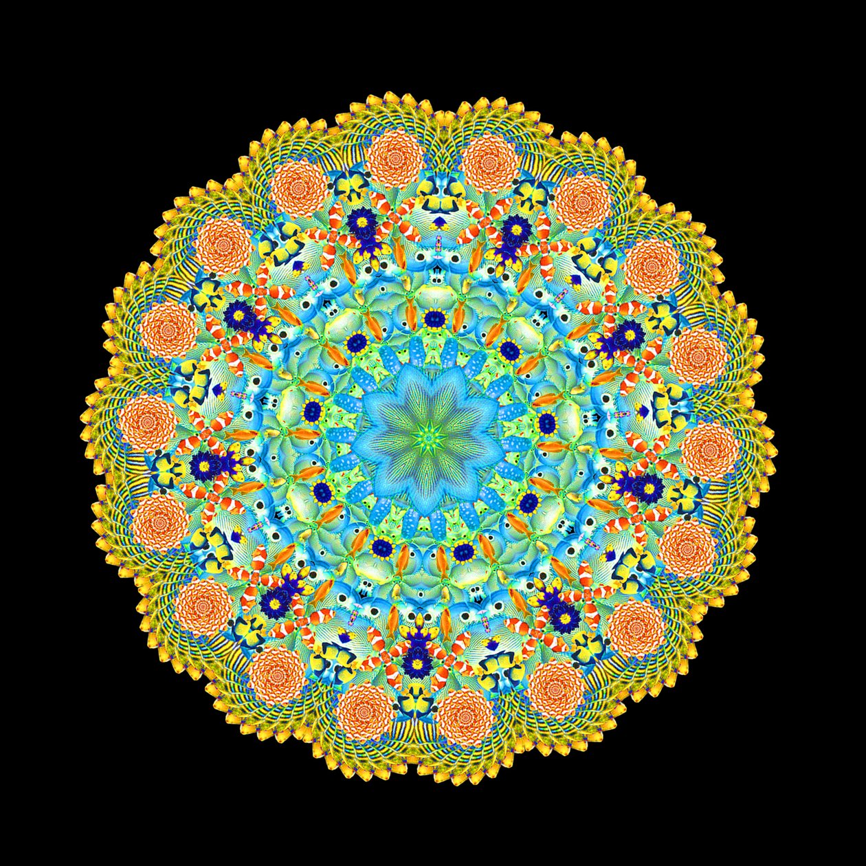 Tropical Fish Wheel by Robyn Parker