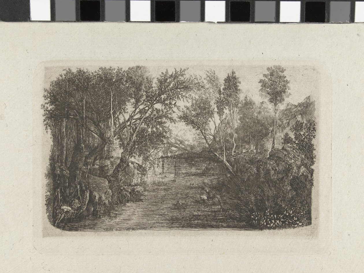 Landscape with Stream and Trees on Banks by Rodolphe Bresdin