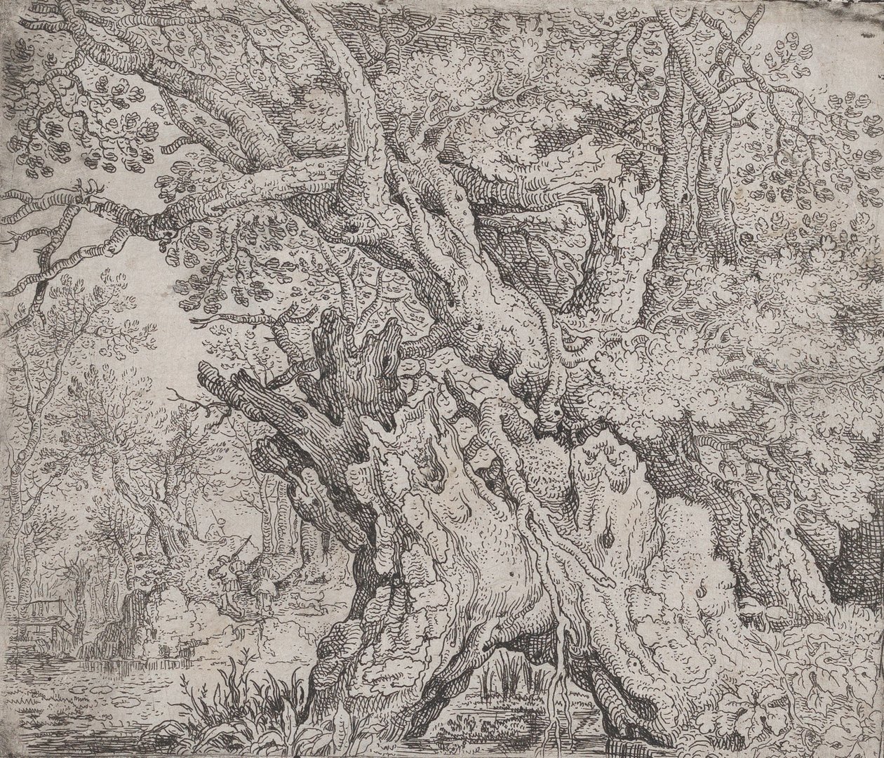 Gnarled Tree by Roelandt Savery: Buy fine art print