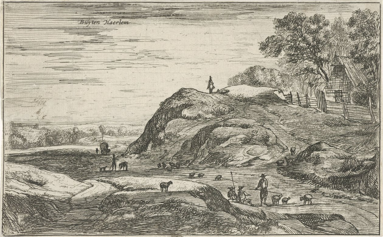 View Outside Haarlem by Roelant Roghman