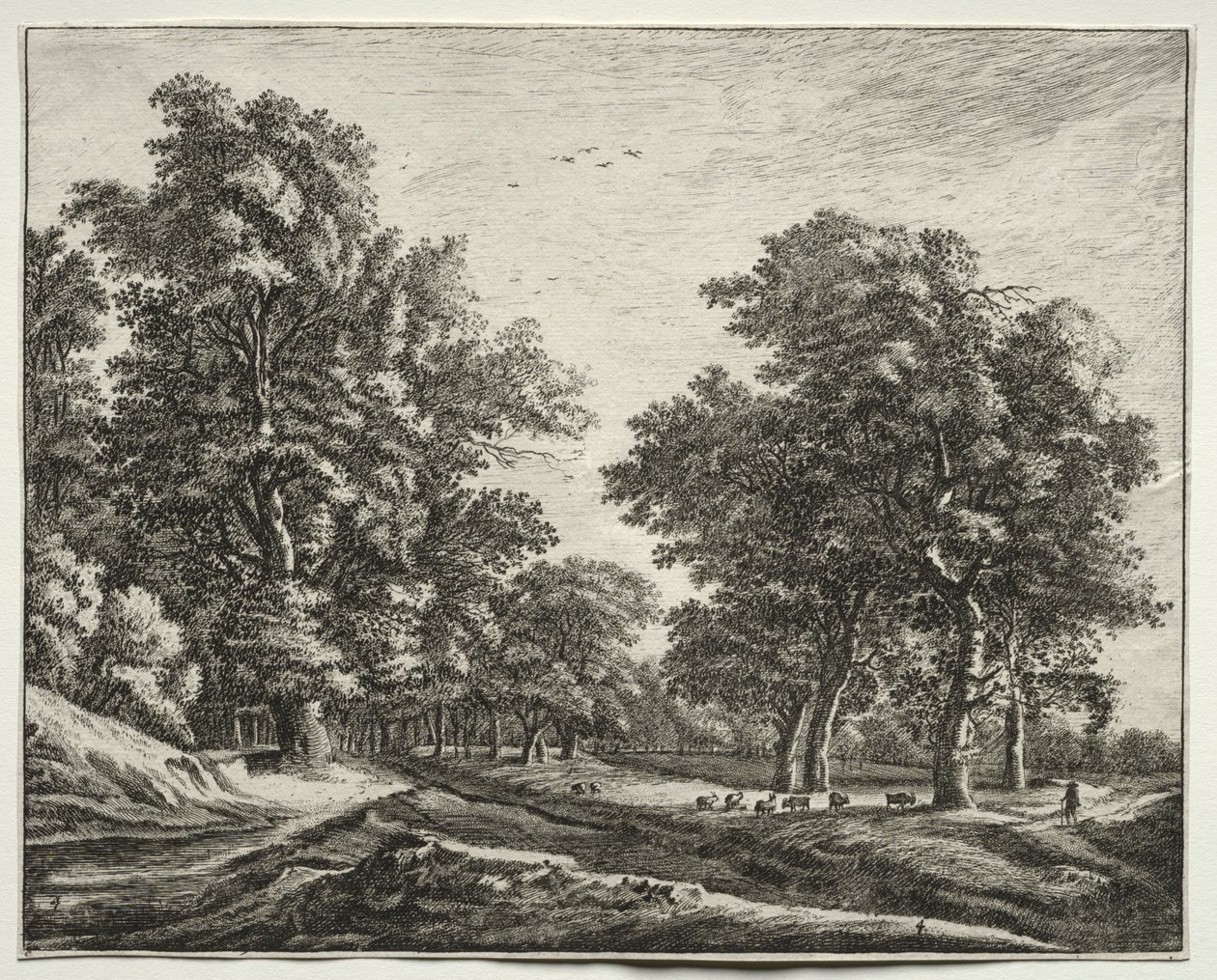 Six Views in the Wood of the Hague: Goats Under the Trees by Roelant Roghman