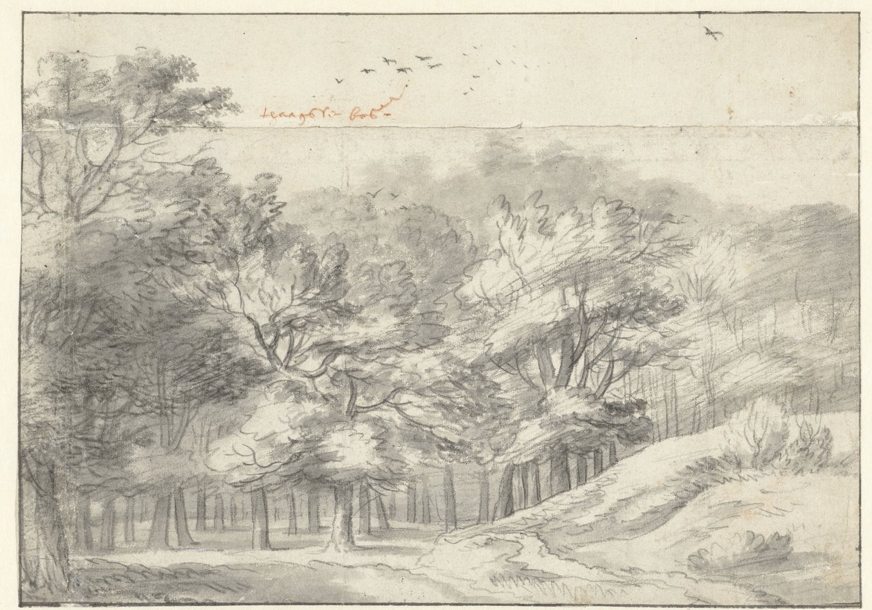 View in the Haagse Bos by Roelant Roghman