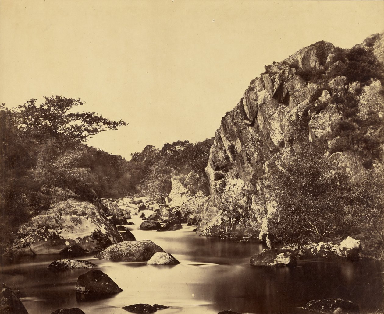 Heron Pool on the Lledr by Roger Fenton