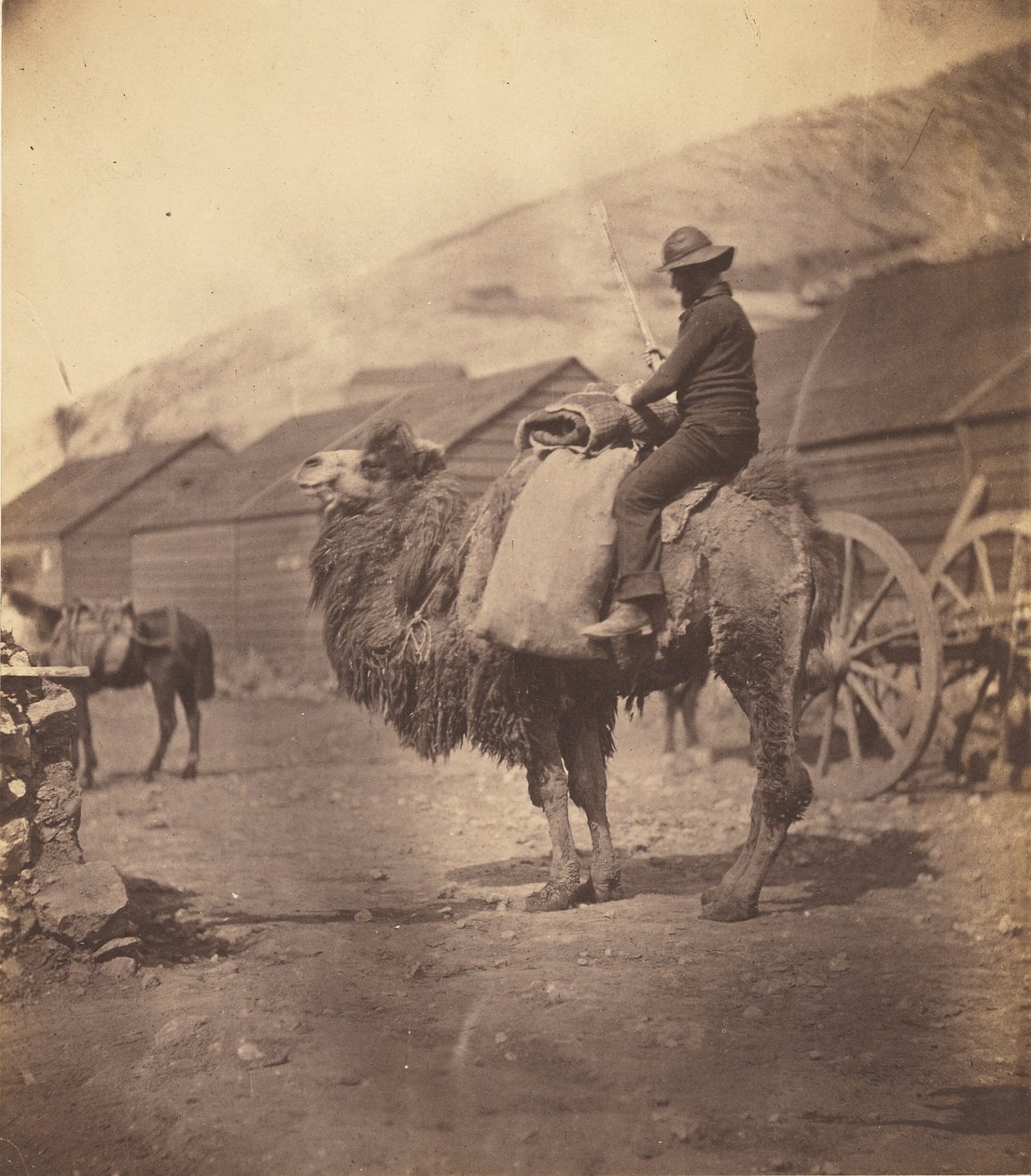 [Man Riding Camel] by Roger Fenton