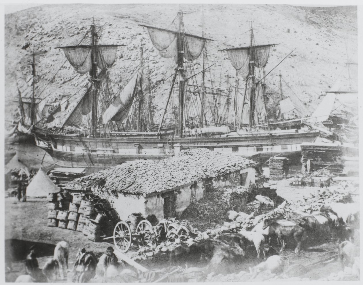 The cattle pier in the harbour of Balaklava by Roger Fenton