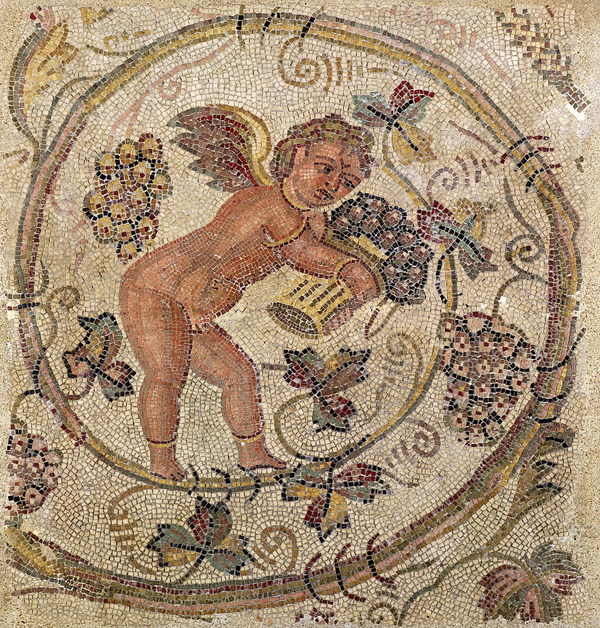A Cupid Picking Grapes, Fragment of Pavement from Carthage, Tunisia by Roman