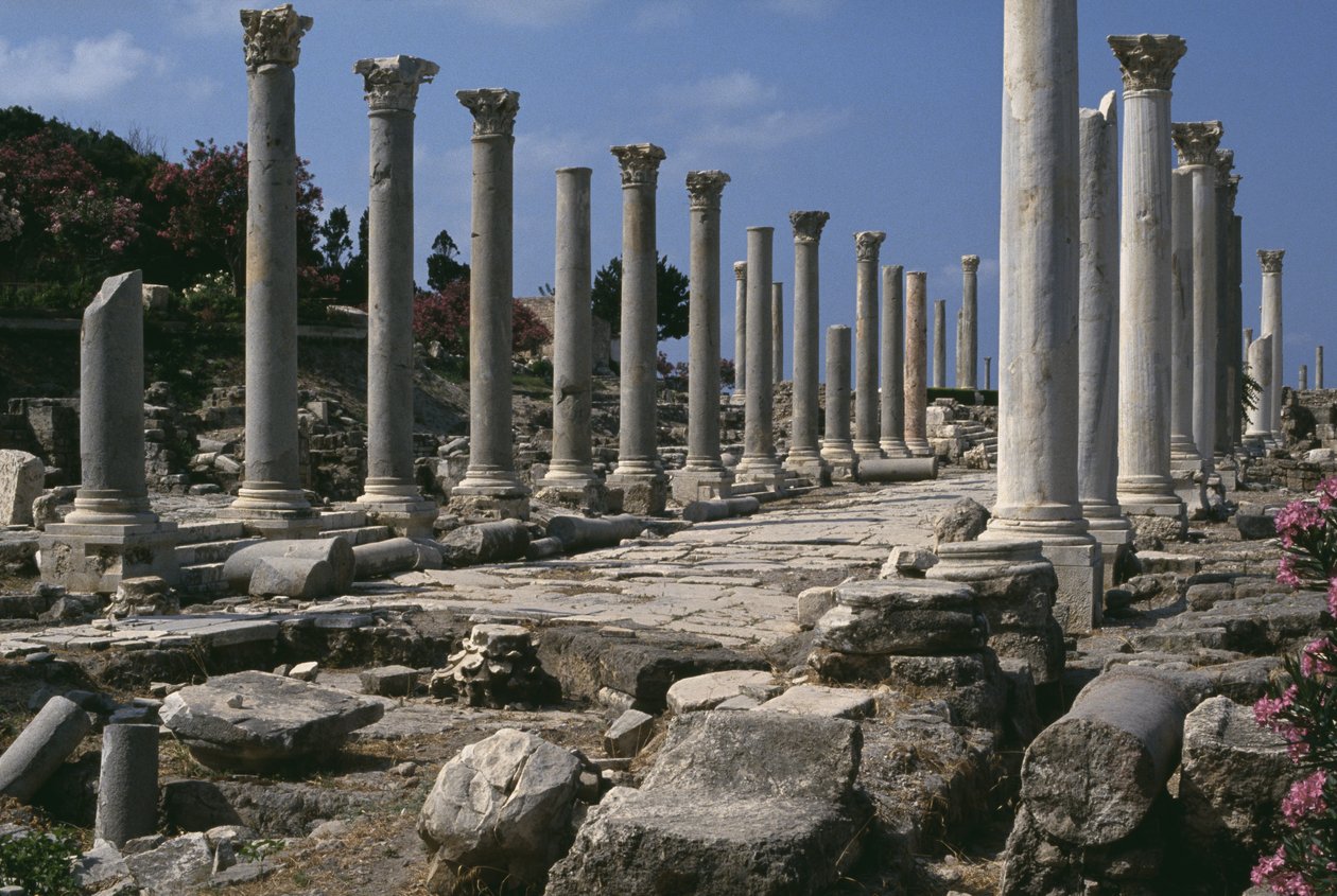 Colonnade by Roman: Premium art reproduction