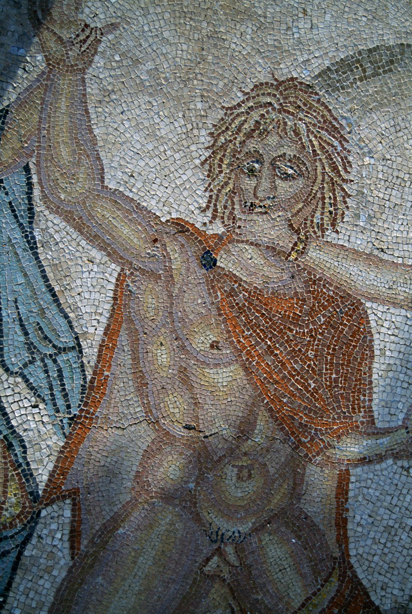 Abduction of Hylas by Nymphs, Mosaic in House of Venus in Roman City of Volubilis by Roman