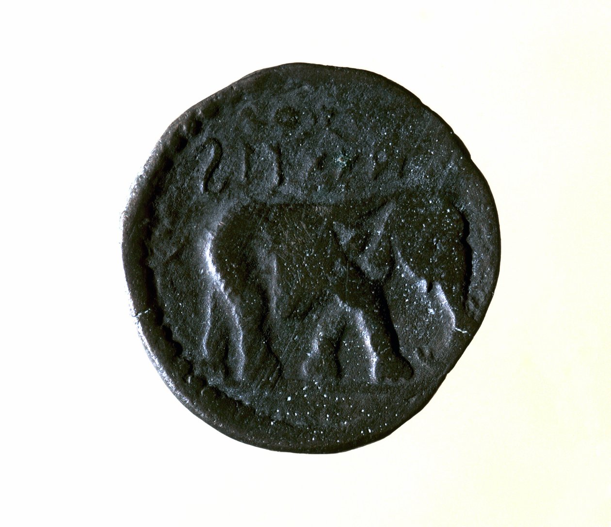 Carthage coin representing an elephant. 3rd or 2nd century BC. by Roman