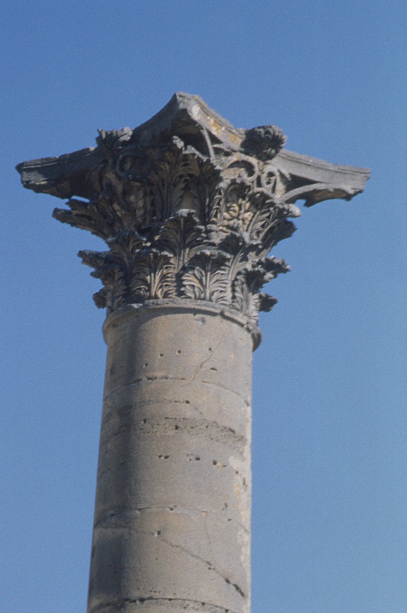 Column with a Corinthian Capital from the Nymphaeum, Roman, 2nd Century by Roman