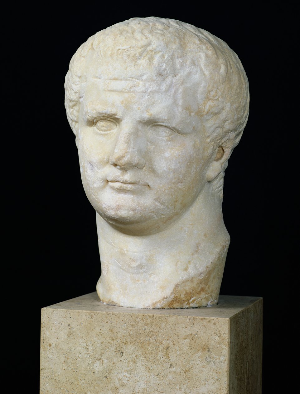 Head of Titus by Roman