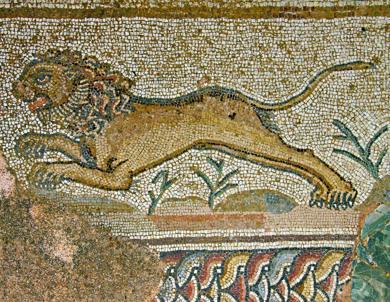 Hunting Scene, Detail of a Lion, House of Dionysos, Paphos, Cyprus by Roman