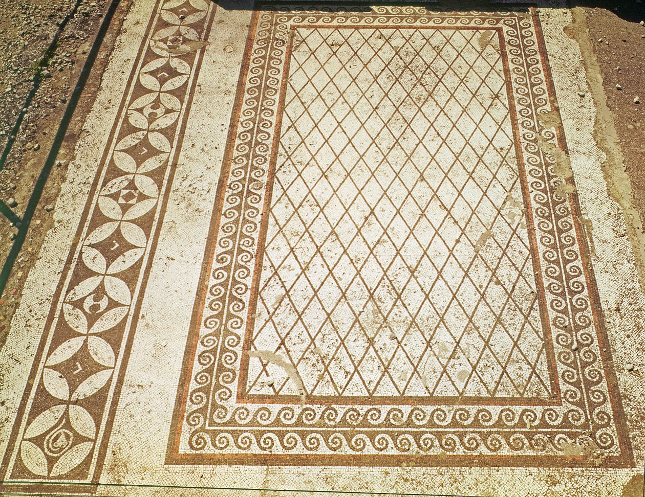 Mosaic floor from the House of the Messii by Roman
