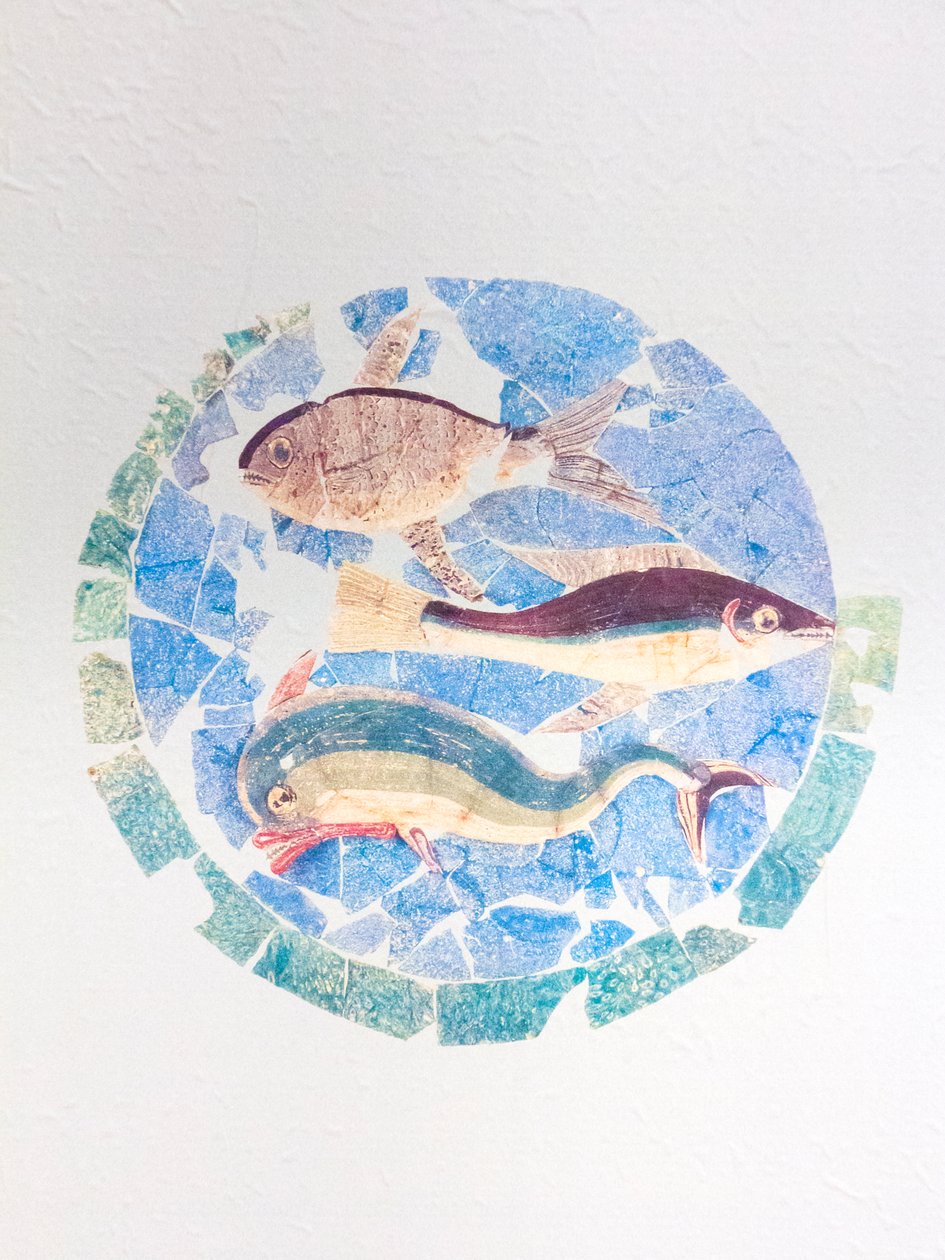 Polychrome painting found in the surgeon