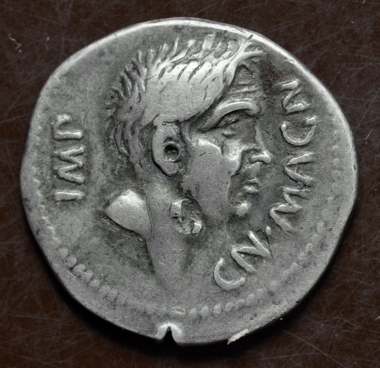 Silver coin with the effigy of Pompey the Great by Roman