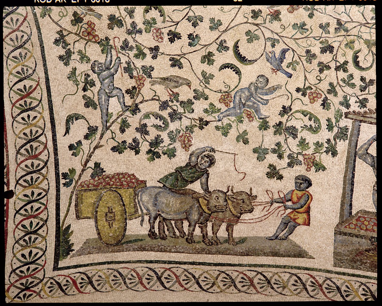 The Grape Harvest by Roman
