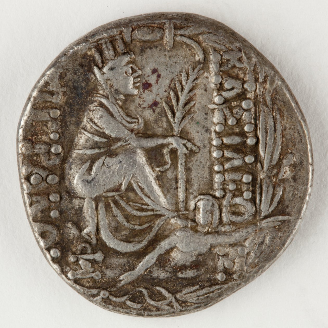 Tigranes II of Armenia, reverse, 83-69 BC by Roman