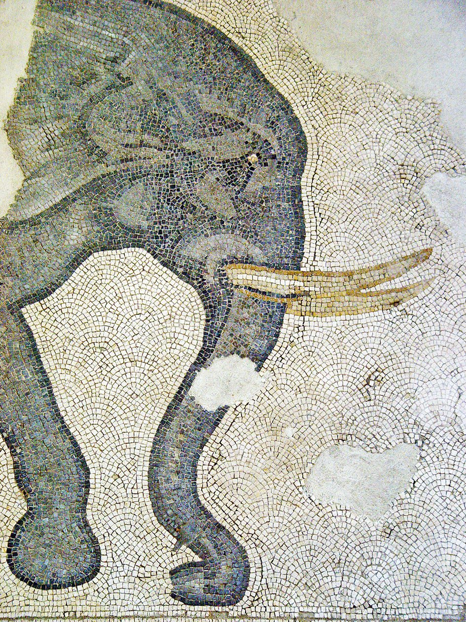 Unknown Image by Roman