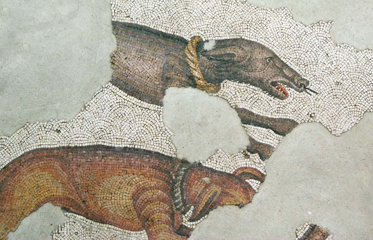 Unknown Image by Roman