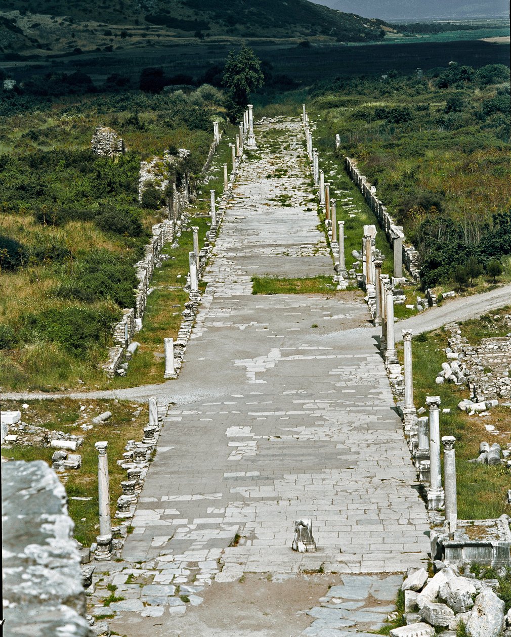 View of the Port Way connecting the port to the theatre, 2nd century by Roman